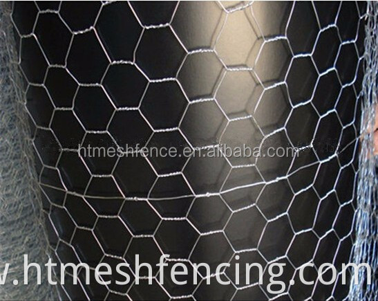 Galvanized Hexagonal chicken wire mesh, 1/2